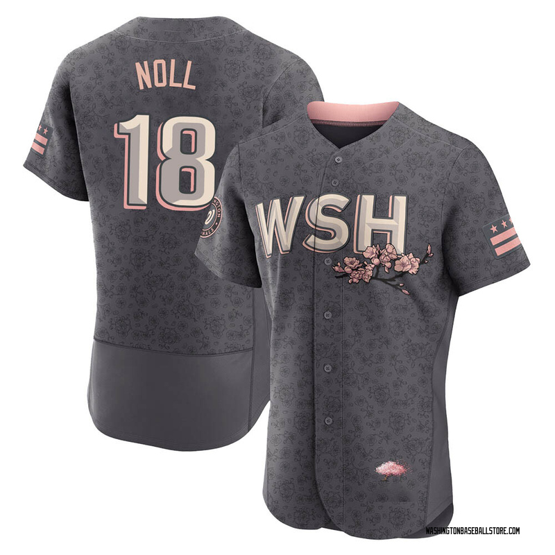 Jake Noll Men's Washington Nationals 2022 City Connect Jersey - Gray  Authentic