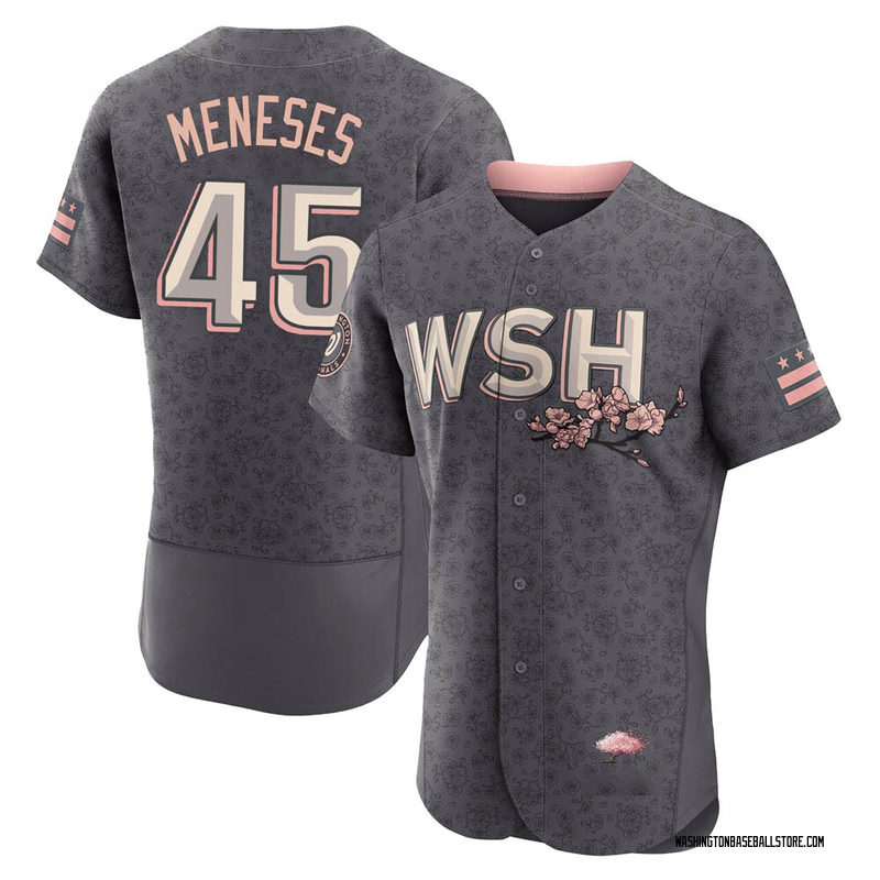 Joey Meneses Men's Washington Nationals 2022 City Connect Jersey - Gray  Authentic