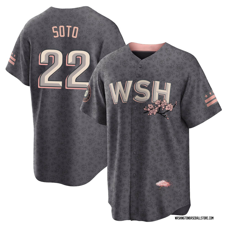 Youth Washington Nationals Nike Gray 2022 City Connect Replica Jersey