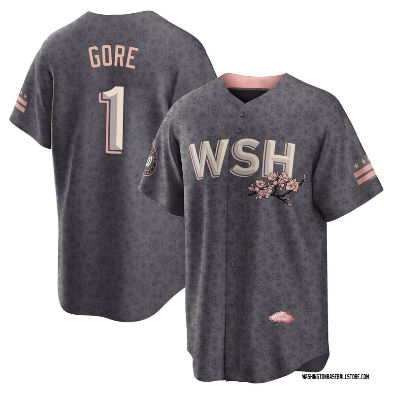 MacKenzie Gore Youth Washington Nationals 2022 City Connect Jersey - Gray  Replica