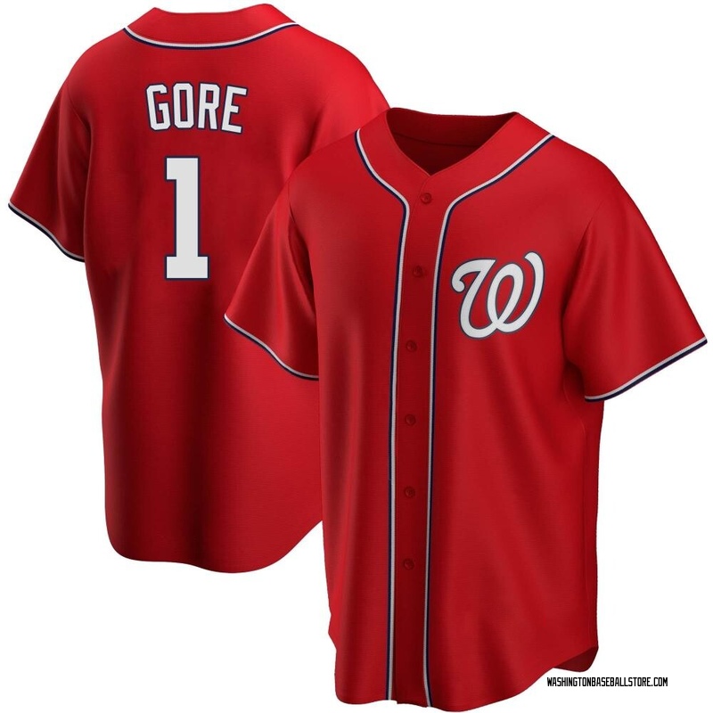 MacKenzie Gore Youth Washington Nationals 2022 City Connect Jersey - Gray  Replica